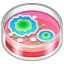 Emoji Boîte de Petri U+1F9EB