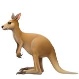 Kangourou