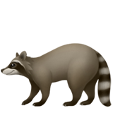 Raton laveur