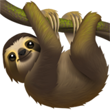 Paresseux