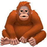 Orang-outan