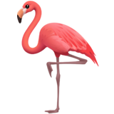 Flamant