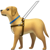 Chien guide
