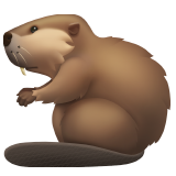 Castor