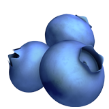 Myrtilles
