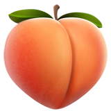 Pêche