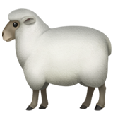 Mouton