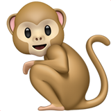 Singe