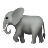 Éléphant