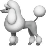 Caniche