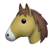 Tête de cheval