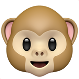 Tête de singe