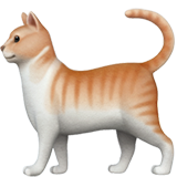 Chat