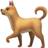 Chien