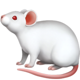 Souris