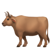 Bœuf