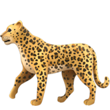 Léopard