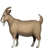 Chèvre