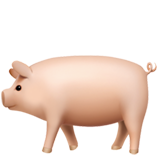 Cochon