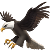 Aigle
